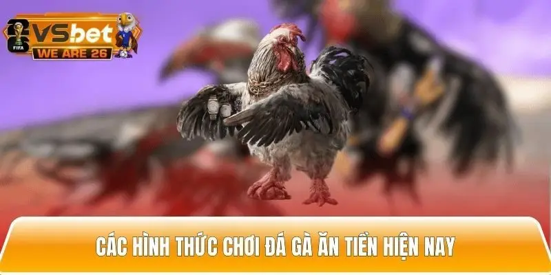 Các hình thức chơi đá gà săn tiền hiện nay