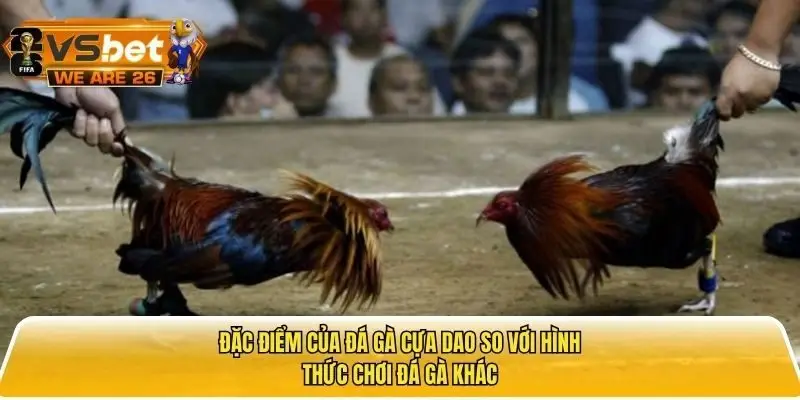 Một số điểm nổi bật khi chơi đá gà cựa dao