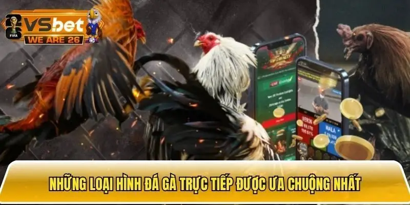 Điểm qua các loại hình đá gà được yêu thích