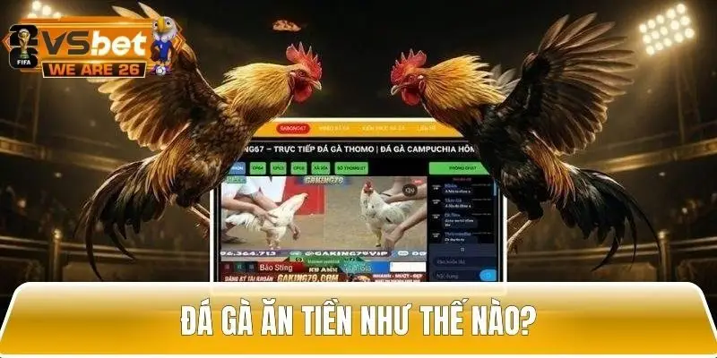 Giới thiệu về đôi nét về đá gà ăn tiền