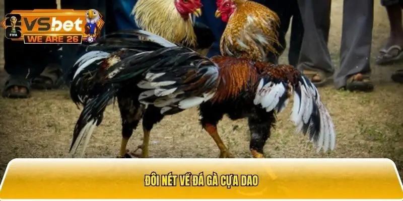 Đá gà cựa dao là loại hình chơi đá gà phổ biến tại các sảnh