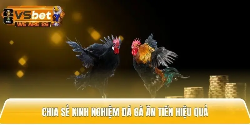 Tổng hợp các kinh nghiệm chơi đá gà săn thưởng hiệu quả