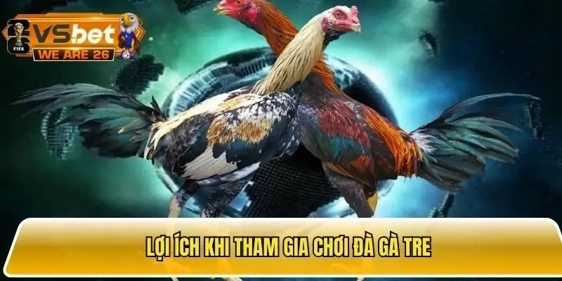 Điểm qua một số lợi ích khi chơi đá gà tre