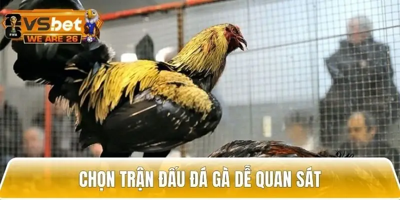 Quan sát trận đấu, hạn chế cược theo đám đông