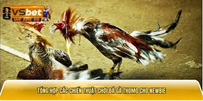Tổng hợp các chiến thuật cho newbie