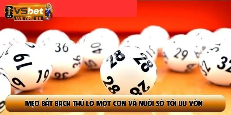 Mẹo bắt bạch thủ lô một con và nuôi số tối ưu vốn